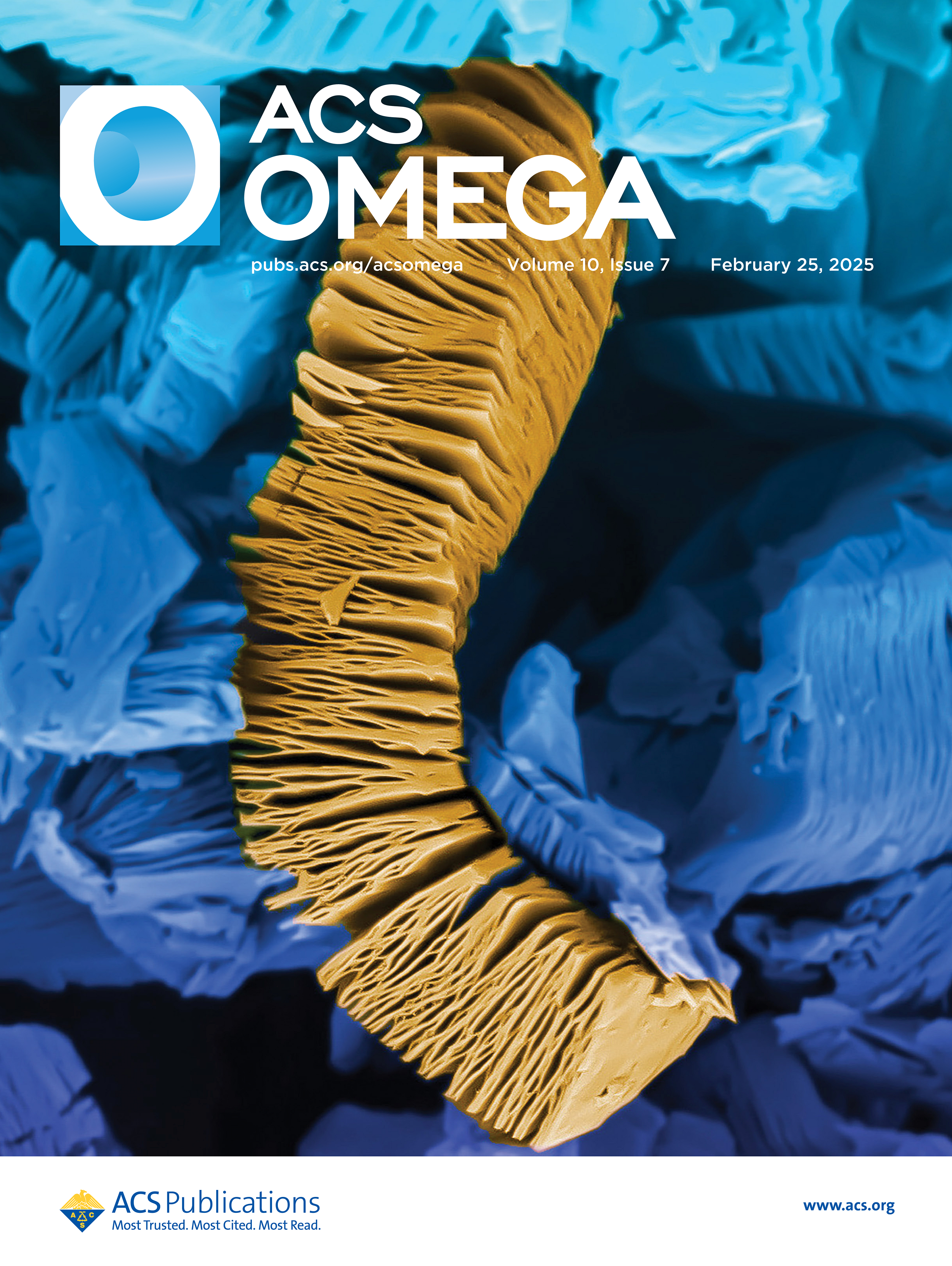 Journal Cover